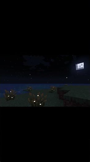 Minecraft Nights: Moonlight & Firefly Sounds | Sped up🌙✨