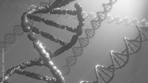 DNA model double helix deoxyribonucleic acid 3d animation 4k