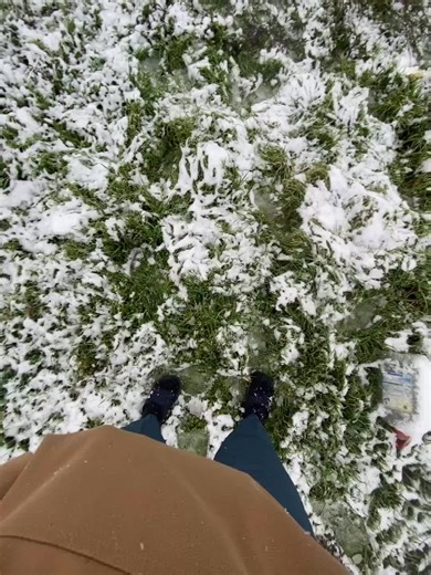 Experience Snowfall in Simanovci, Serbia