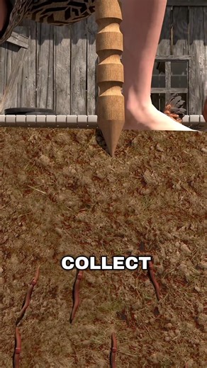 Why Earthworms Suddenly Rise From the Ground?