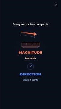 What Are Vectors? Direction Changes Everything