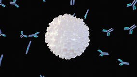 3d Animation of Antigens and Antibodies Stock Video - Video of antibody, three: 308034433