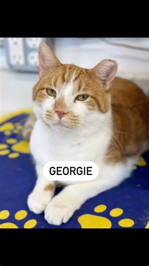 12K views · 3.4K reactions | Grieving the loss of one of our...