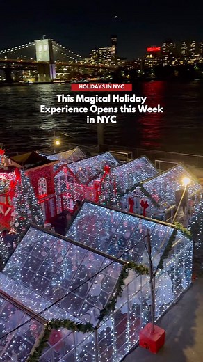 168K views · 2.8K reactions | This Magical NYC Holiday Experience...