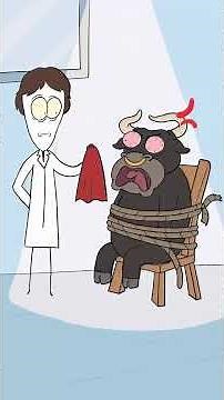 Pourquoi les taureaux détestent le rouge ?