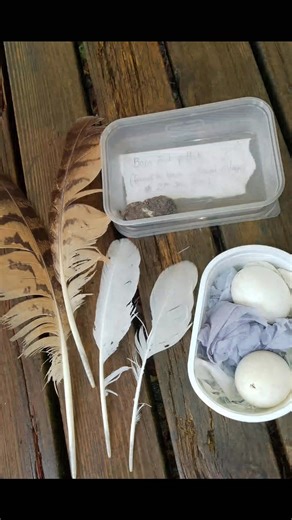 Owl babies! 🦉🦉🦉 This week I bought in an 'Owl babies' story sack to bring the story to life (more tips about story sacks in another post for those who weren't with us this week when I mentioned it). We learnt how owls have babies, looked at owl eggs, owl feathers and an owl pellet, and learnt what owls eat, what an owl pellet is and why they do that, and a few other facts. Lots of messy play in the mud kitchen this week, including the use of "eggs", also playing with owls, eggs and nests. We 