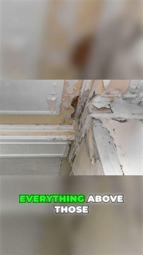 What Happens When Water Damage Affects Load-Bearing Structures? #shorts