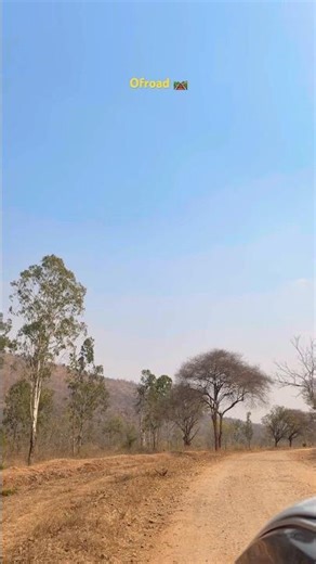 Epic Road Trip Views That Will BLOW YOUR MIND! 🤯🌲#viral #trending #travel #shortfeed #yt #ofroad