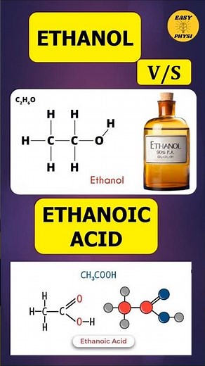 Ethanol v/s Methanol