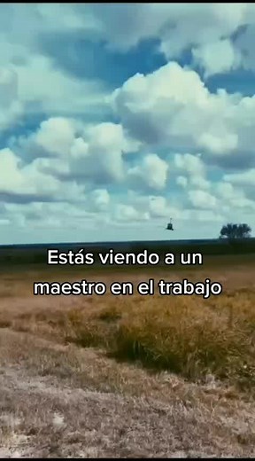 #foryou #pilot #tendencia #aviation #birds_0f_steel