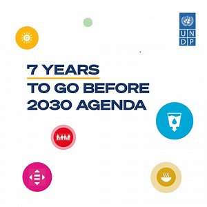 It's halftime for the #SDGs. This year marks the halfway point for the 2030 Agenda and it's clear that #DigitalTransformation has become a most valuable player, creating success and generating knowledge in multiple areas. Find out how: https://go.undp.org/xW8V | United Nations Development Programme - UNDP