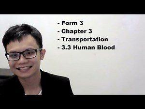 - Form 3- Chapter 3- Transportation- 3.3 Human Blood