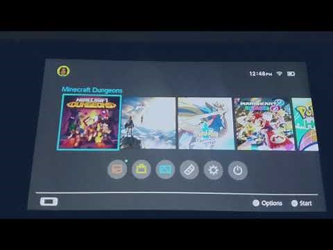 Minecraft Dungeons is Not Working on Nintendo Switch