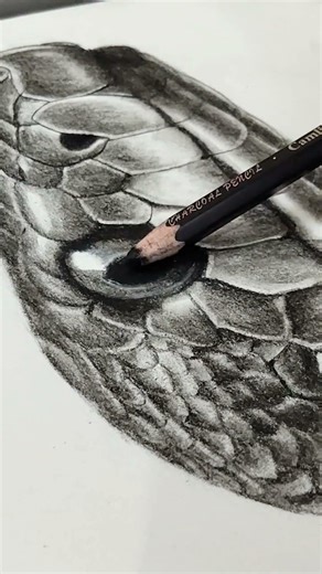 #snake charcoal sketch part 2 🔥🔥🔥🔥🔥🔥🔥🔥🔥🔥🔥🔥🔥🔥