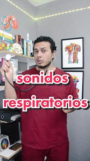Escucha los sonidos respiratorios de los pulmones