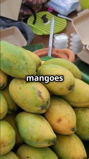 Understanding Herd Behavior: Why We Follow the Crowd in Investing!