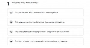 1. What do food webs model?A) The patterns of wind and rainfa... | Filo
