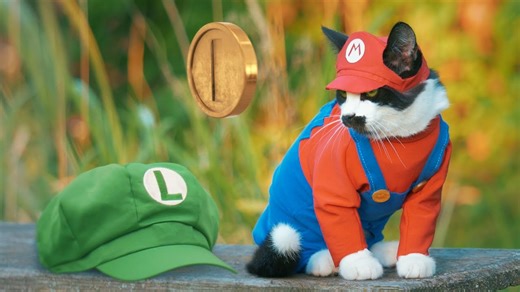 Super Mario cat and Luigi set out to rescue the princess