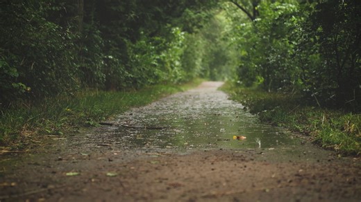 Raindrops, Rain, Heavy Rain. Free Stock Video