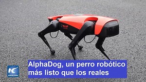 🔵 ¡Impresionante! Conoce a AlphaDog, un perro robótico de fabricación china, el cual se exhibió durante la Conferencia INCLUSION Fintech celebrada en Shanghai. 🐶🤖 | China Xinhua News