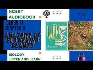 Chapter 6 Anatomy of flowering plant Class 11 Biology NCERT Audio Book Reading Only