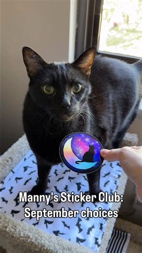 Manny's Sticker Club: September sticker choices! 🌕🐈‍⬛🌙🚸 #stickerlove