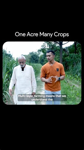 Theagritalkshow on Instagram: "What is Multi Layer Farming? | Agritalk by Abhinav Roy | #shortshorts"
