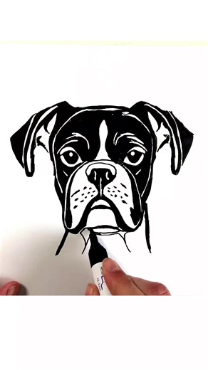 How to Draw a Boxer Dog #drawing #dog #boxer