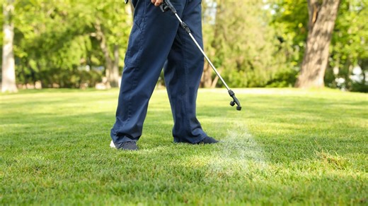 Cease and desist order given to pest control company for door-to-door sales