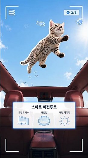 세계 고양이의 날 기념! 고양이 수집하기ㅣ현대자동차