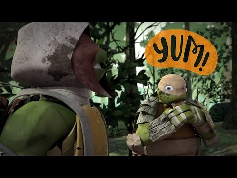 Vision Quest | Teenage Mutant Ninja Turtles Legends