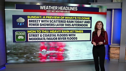 Seattle weather: Rainy and breezy