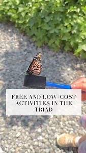 💸 Nothing sounds better to a parent than the words Free, Cheap and Fun! 💸 The Triad and surrounding areas have many options for summer family fun that won't break the bank. 💰🙌🏼 From outdoor fun to discovering your city, the Triad does not disappoint! Get the entire list of free and cheap things to do this summer by commenting "blog". Don't let summer slip by without visiting some of these fun spots! 🐵🛝🏞️🏎️ Free and Low Cost Options in the Triad https://share.google/TbiECwuGr7luWqSgI . .