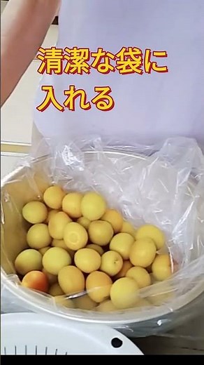 誰でも簡単【梅干しの漬け方】シソも重石もなし #shorts #cooking