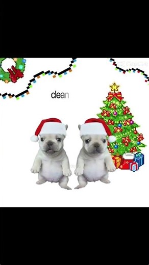 🎄🎄🎄✝️✝️