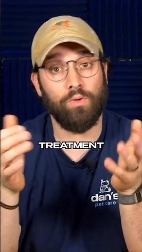 How to treat your dogs kennel cough 💊🐾