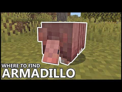 Where To Find ARMADILLO In MINECRAFT 1.21