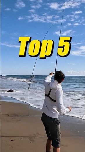 Top 5 fish to catch from shore in SoCal! What's your favorite? 🎣🎣