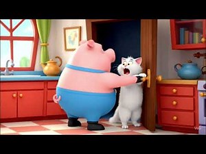 Best Cat Animations Compilation