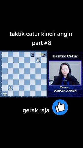 #chessmaster #taktikcatur #grandmastergameplay