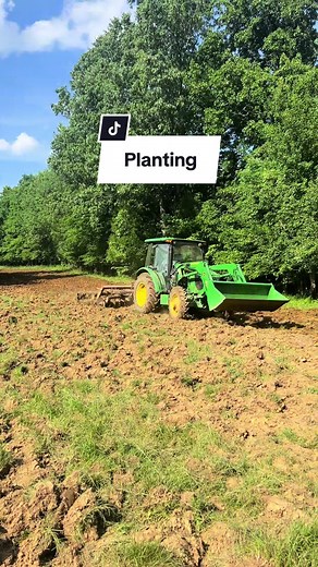 Soybeans and Corn going in the ground. Cant wait to see a big typical step out of a corn row! #whitetail #fallow #deertiktok #hunting #kentucky #deerseason #kentuckytrophydeer #huntingtiktok #kentuckytrophyhunts #bowhunting #huntingseason #kentuckytrophydeer #deerhunting #elkhunting #ramhunting #fallowdeer #elk #Whitetails #johndeere