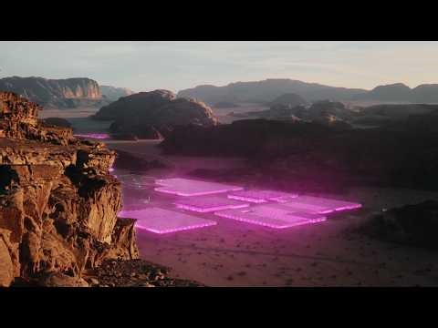 A Universe of Lights