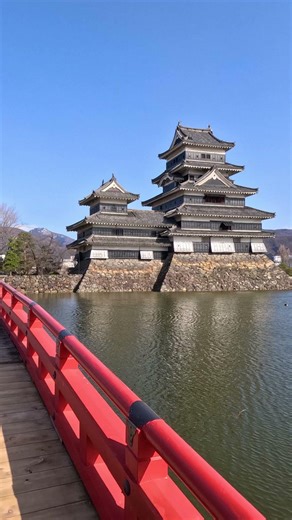 20 Days in Japan in 1 Minute | Ultimate Travel Highlights 4K #travel #shortvideo #japan #4K