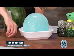 Science Summer Camps