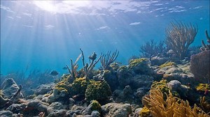 Underwater ambient sound and noise