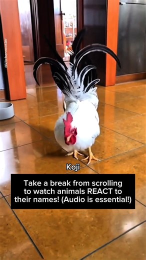 490K views · 44K reactions | It's not just dogs and cats who react to...