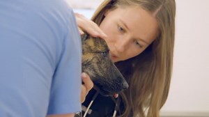 These Caring Shelter Vets Help Animals In Need