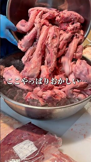 The freshest, biggest yakitori I've ever had, and the value is absolutely insane...