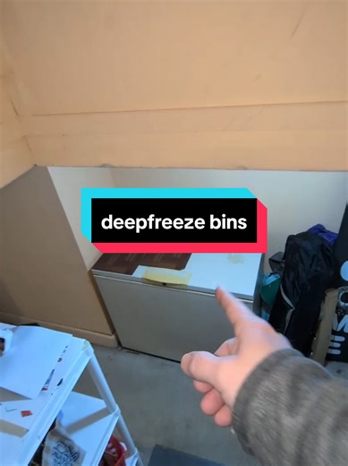 Transform Your Deep Freezer with StowCraft Bins