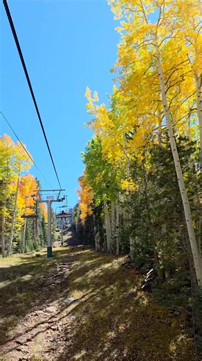 21K views · 245 reactions | If you want an easy way to see great views and fall colors, take a ride on the ski lift at Sunrise Ski Resort....it's gorgeous right now! White Mountains, Arizona #autumnvibes #fallfun #fallvibes #autumncolors #SkiLift #OutdoorAdventures #naturelovers #beautiful #naturevibes #colorful #aspens #ilovetrees #itstheseason #Arizona | Stacy Outdoors | Facebook